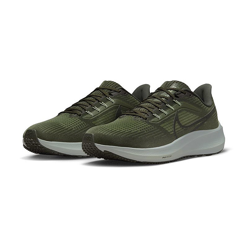 nike-air-zoom-pegasus-39-dh4071-300-1