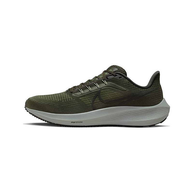 nike-air-zoom-pegasus-39-dh4071-300