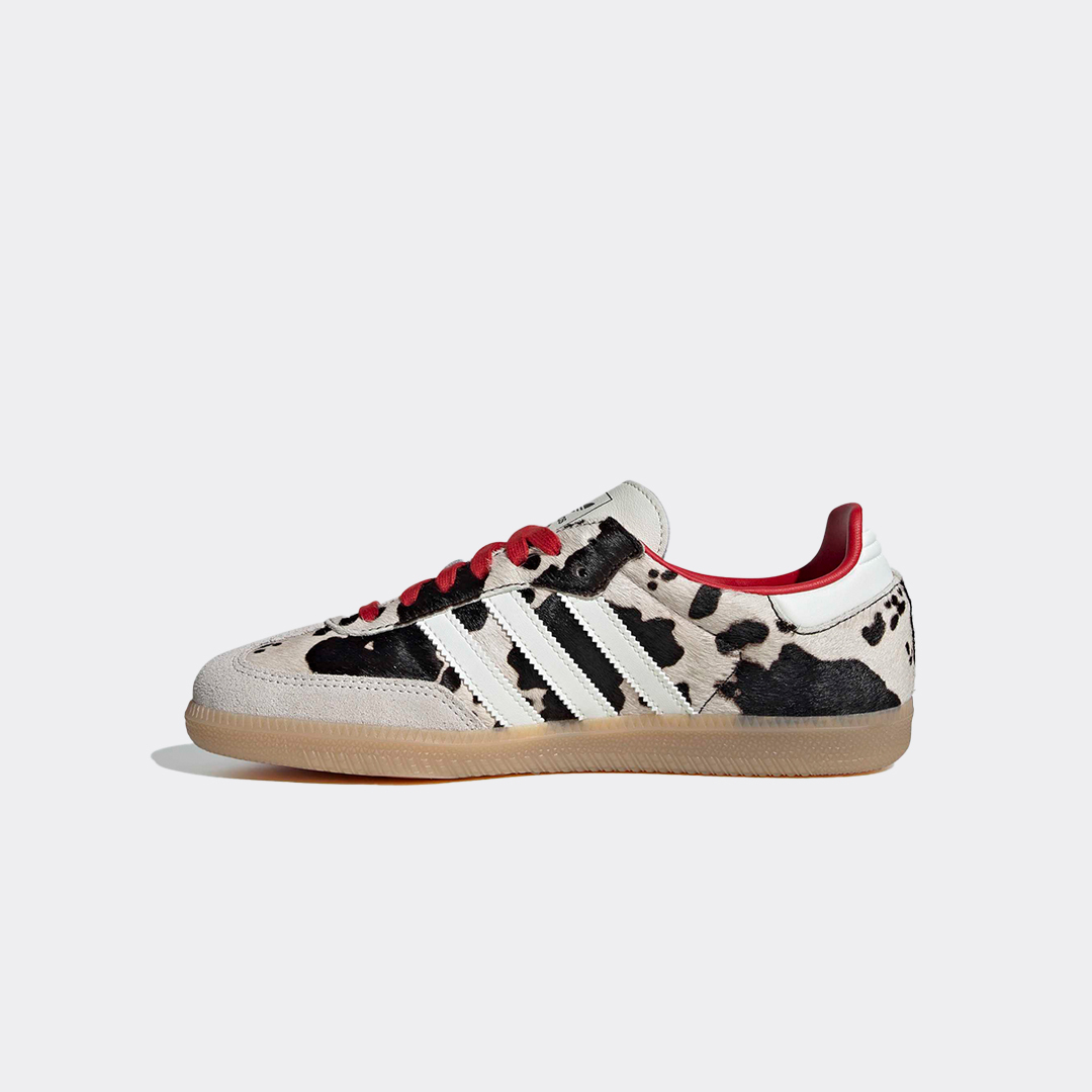 20260128125558_d533307b