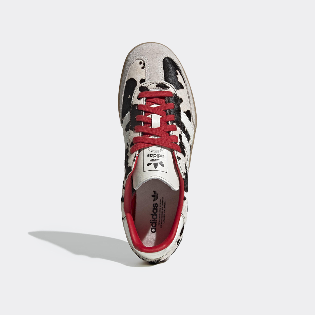 20260128125605_f62056aa